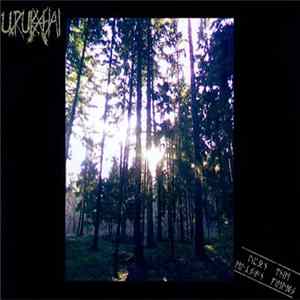 Uruk-Hai - Upon The Elysian Fields Album