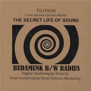 Budamunk B/W Radius - Everpresent / Get Into Something Album
