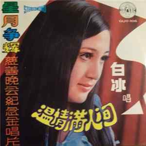 白冰 - 溫情滿人間 ~ 星月爭辉慈善晚會紀念金唱片 ~ Album