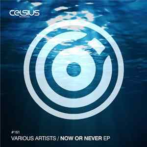 Various - Now Or Never EP Album