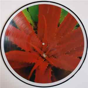 Jejune - This Afternoons Malady Album