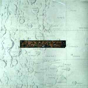 Low - Things We Lost In The Fire Album
