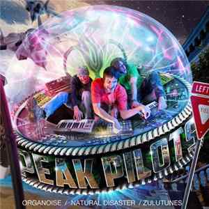 Peak Pilots - Peak Pilots LP Album