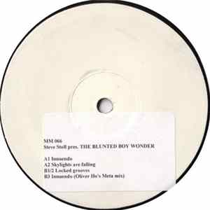 Steve Stoll Pres. The Blunted Boy Wonder - Innuendo Album