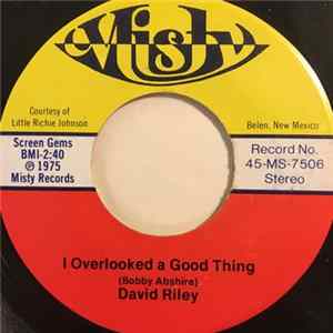 David Riley - I Overlooked A Good Thing Album