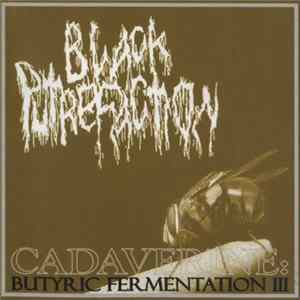 Black Putrefaction, LSD Cult - Cadaverine : Butyric Fermentation III / AIDS Syringe Album