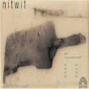 Nitwit - Are You Sure This Is Sound Album