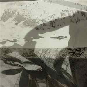 Ángela Tröndle & Pippo Corvino - The Parting Of The Ways Album