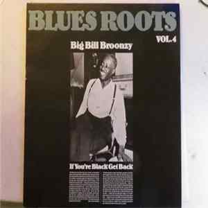Big Bill Broonzy - If You're Black Get Back Album