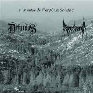 Defuntos / Striborg - Florestas De Perpétua Solidão Album