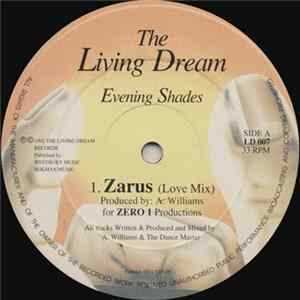 Evening Shades - Zarus / The Groove Desired Album