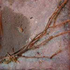 Boreal - The Battle Of VOSAD Album
