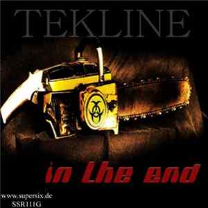 Tekline - In The End Album