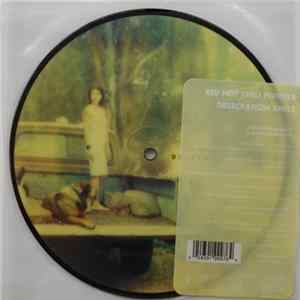 Red Hot Chili Peppers - Desecration Smile Album