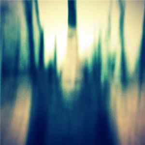 Neural Corrosion - The Sound Of Footsteps Album