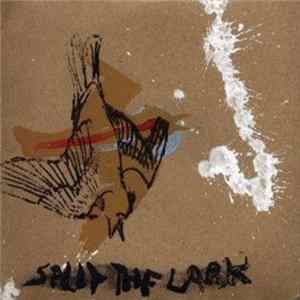 Ray Off - Split The Lark Album