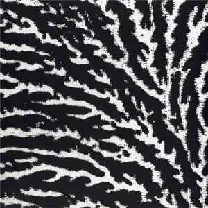 Grouper - Cover The Windows And The Walls Album