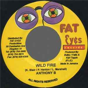 Anthony B / Ninja Ford - Wild Fire / Never See Mi Done Album