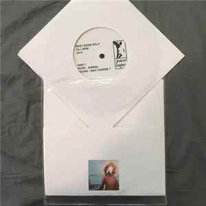 Nouns, Rachel , Pope - Best Buds Split Album