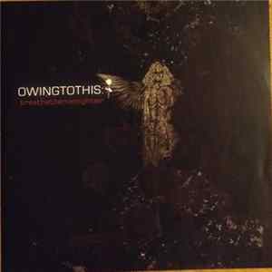 Owingtothis - Breathethemidnightair Album