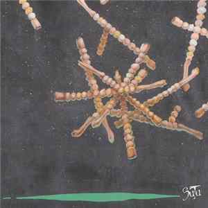 Sutu - Sutu Album