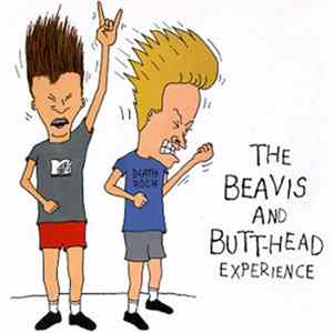 Various - The Beavis And Butt-Head Experience Album