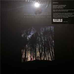 Ensemble Economique - Radiate Through You Album