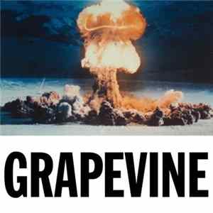 DJ Tiësto - Grapevine Album