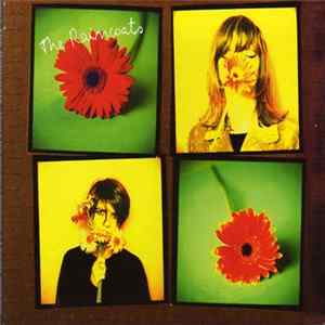 The Raincoats - Don't Be Mean / Vicious / I Keep Walking Album