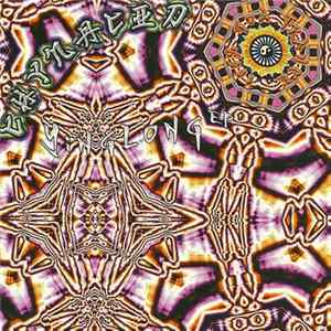 Chynacid - Yinglong EP Album