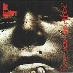 The Hooblers - Can You Do This? Album