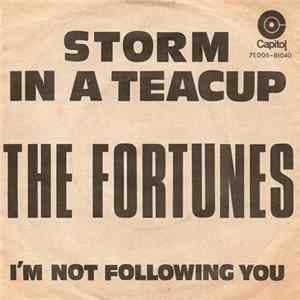 The Fortunes - Storm In A Teacup Album