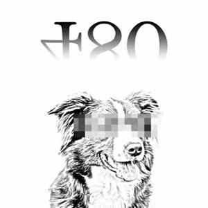 Konwave - 480 Album
