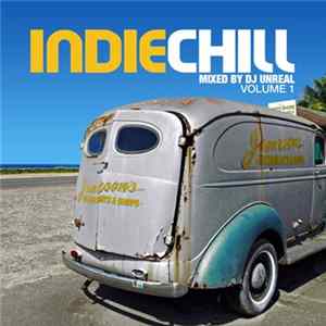 Various - Indie Chill Album