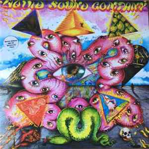 Liquid Sound Company - Exploring The Psychedelic Album