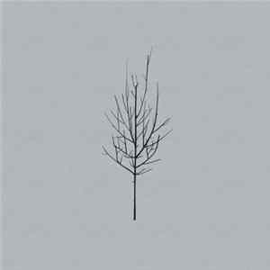 Low - Lies Album