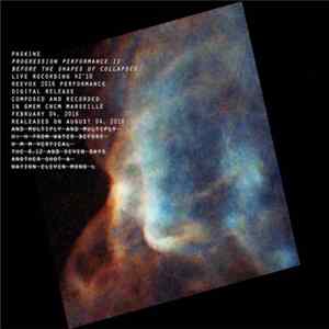 Paskine - Progression Performance II - Before The Shapes of Collapses Album