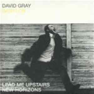 David Gray - Babylon Album
