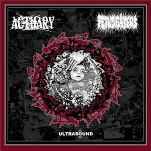 Fetus Eaters / Actuary - Ultrasound Album