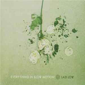 Everything In Slow Motion - Laid Low Album