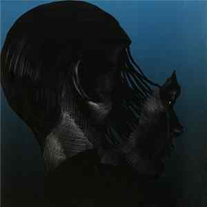 These Hidden Hands - Vicarious Memories Album