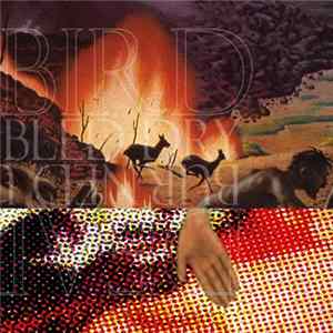 Deadbird / Burned Up Bled Dry - Deadbird / Burned Up Bled Dry Album