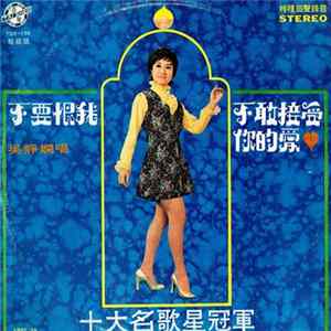 吳靜嫻 - 不要再恨我 / 不敢接受你的愛 Album