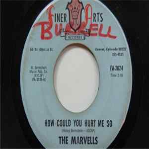 The Marvells - How Could You Hurt Me So Album
