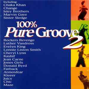 Various - 100% Pure Groove 2 Album