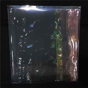 Downscope - /ˈdwindl/ in time Album