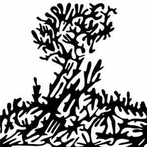 Cat.n.Bone - Sniff A Tree Album