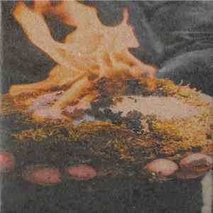 Botfly - Botfly Album