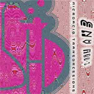 Env Mod-Z - Microacid Transgressions EP Album