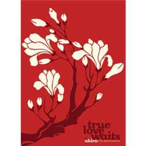 Akira & The Airborne Particles - True Love Waits Album